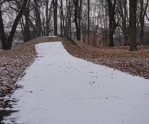 Pierwsze opady śniegu w listopadzie 2024 w dzielnicy Bronowice w Lublinie