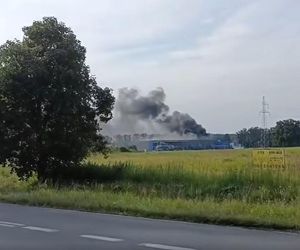 Pożar hali utylizującej baterie w Bukowicach