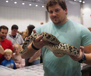 Egzotyczne zwierzęta powracają do Hali Expo! Zobaczycie je już w marcu