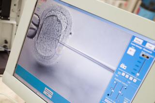 Ustawa o in vitro 2015: jakie kontrowersje są z nią związane?