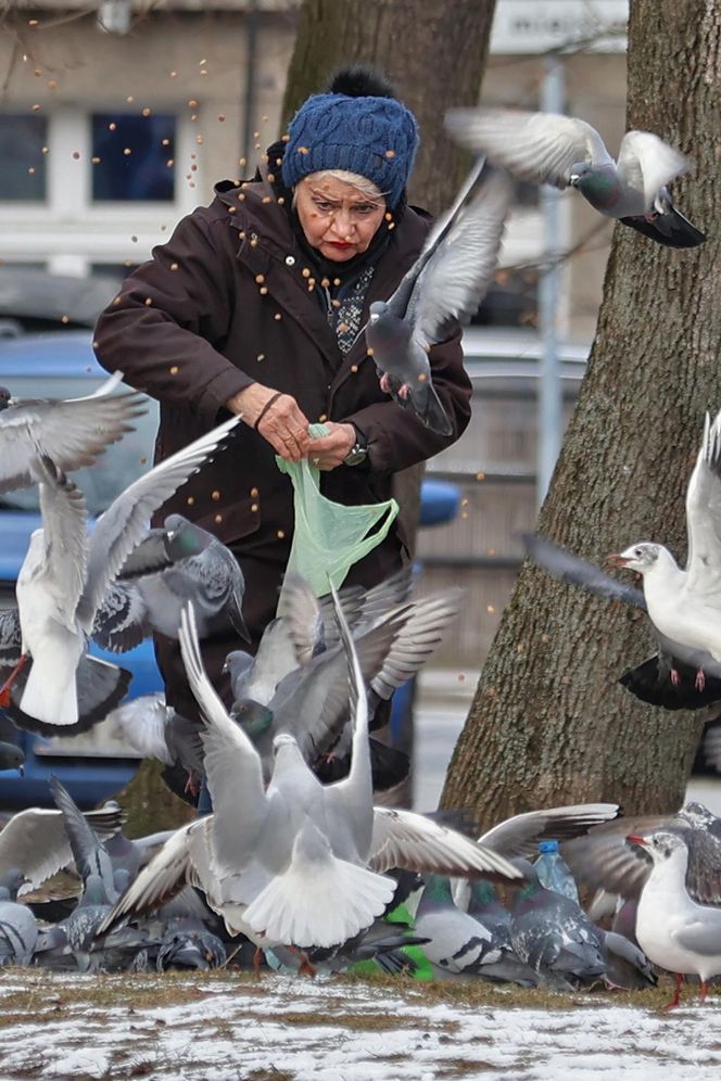 Anna Chodakowska. Gwiazda "Labiryntu" wśród ptaków