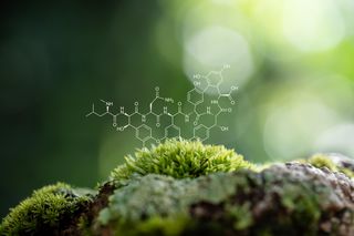 Na te kierunki studiów dostaniesz się łatwiej niż myślisz