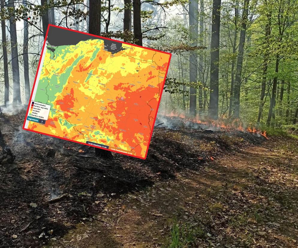 RCB ostrzega przed pożarami lasów
