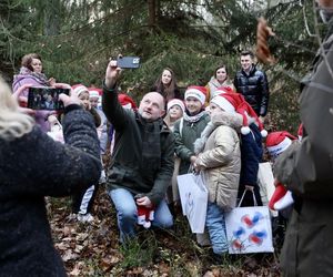 Świąteczne drzewko wybrane