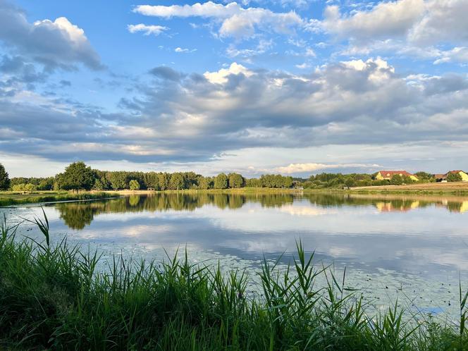 Szukacie ciszy i spokoju nad wodą? Zalew Umer to świętokrzyska oaza