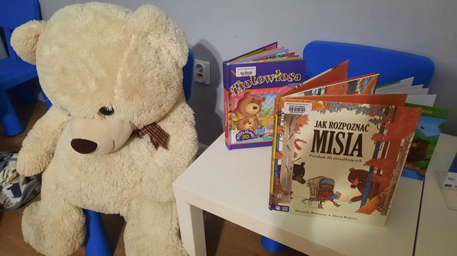 Światowy Dzień Pluszowego Misia
