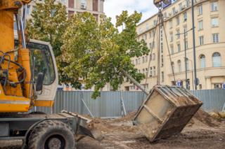 Lipy znikają z pl. Powstańców Warszawy. Przesadzają je na Jagiellońską