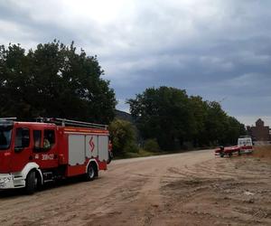 Pijany pływał sobie w Odrze w centrum Wrocławia. Interweniowało WOPR