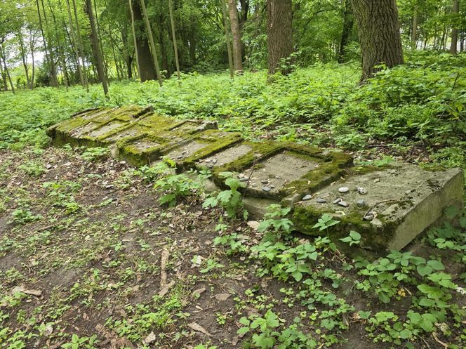 Cmentarz żydowski w Leżajsku