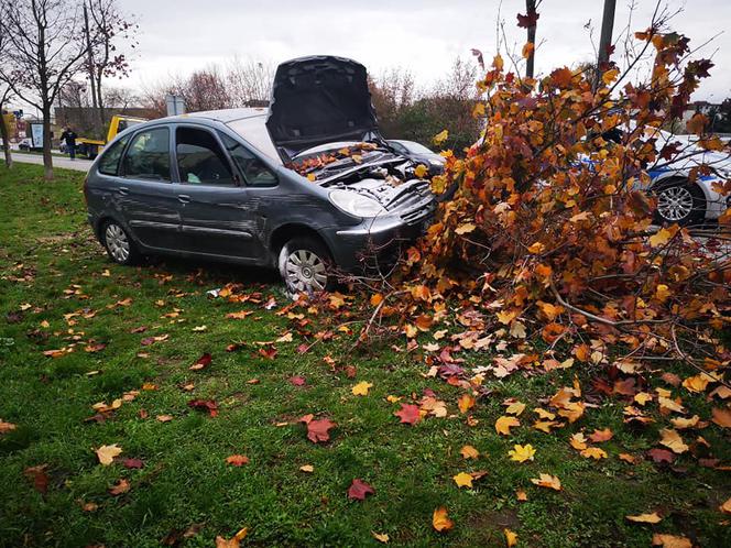 O krok od tragedii w Bydgoszczy! Kierowca zasłabł i uderzył w drzewo! [ZDJĘCIA] 