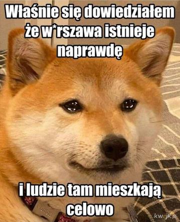  Tak internauci śmieją się ze stolicy! TOP 22 memów o Warszawie