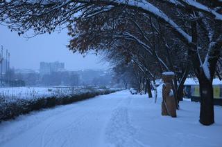 Drewniane rzeźby nad Bystrzycą w Lublinie okryły się białym puchem
