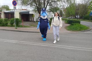 W Bydgoszczy jest już 40 sugerowanych przejść dla pieszych. Policjanci radza, jak je bezpiecznie pokonywać