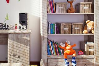 Regał w pokoju dziecka: na bajki, atlasy i przewodniki