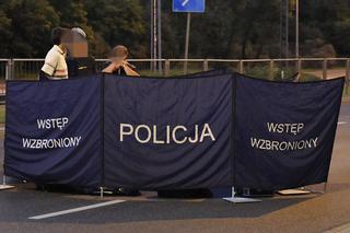 Koszmarny wypadek pod Słubicami! Nie żyje kierowca fiata, który zderzył się z tirem