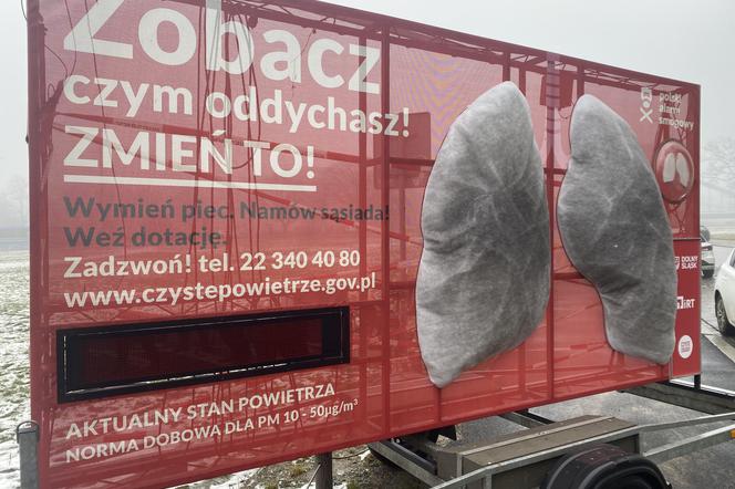 Fatalna jakość powietrza we Wrocławiu! Mobilne płuca nie pozostawiają wątpliwości