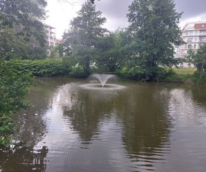 Park im. Szafera w Rzeszowie 