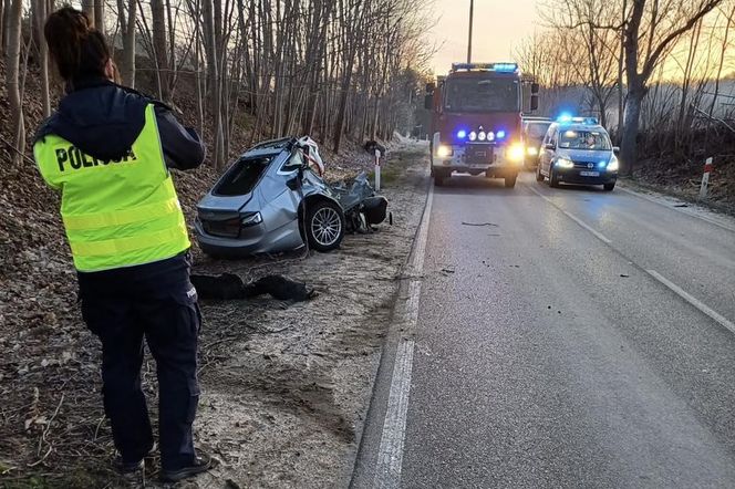 Sopieszyno. Audi roztrzaskało się na drzewie. 36-latek nie miał szans na przeżycie