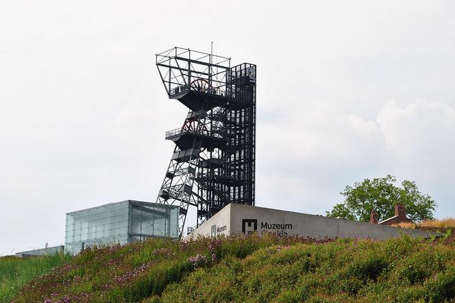 Muzeum Śląskie