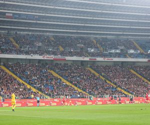 Kibice na meczu Polska -Nowa Zelandia na Stadionie Śląskim