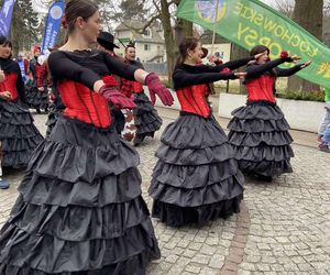 Z 22. Międzynarodowego Zlotu Morsów w Mielnie siedlczanie wrócili z sukcesem na koncie!