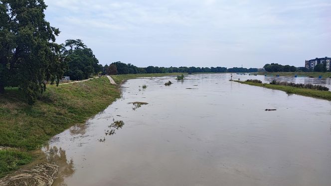 Fala powodziowa we Wrocławiu. Pod wodą są już beach bary i drogi 