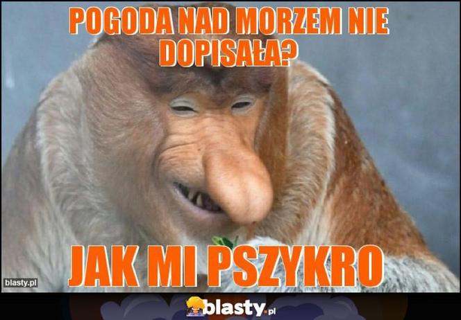 W tym roku pogoda jest bezlitosna dla turystów. No zobaczcie tylko te memy!