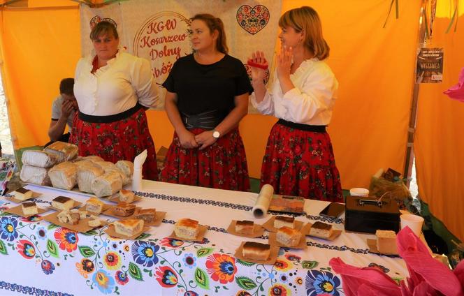 XXV Lubelskie Święto Chleba w Muzeum Wsi Lubelskiej