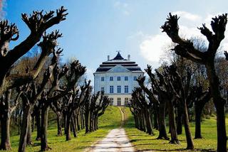 Wypad za miasto do pałacu