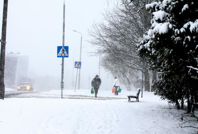 Śnieżyca w Polsce