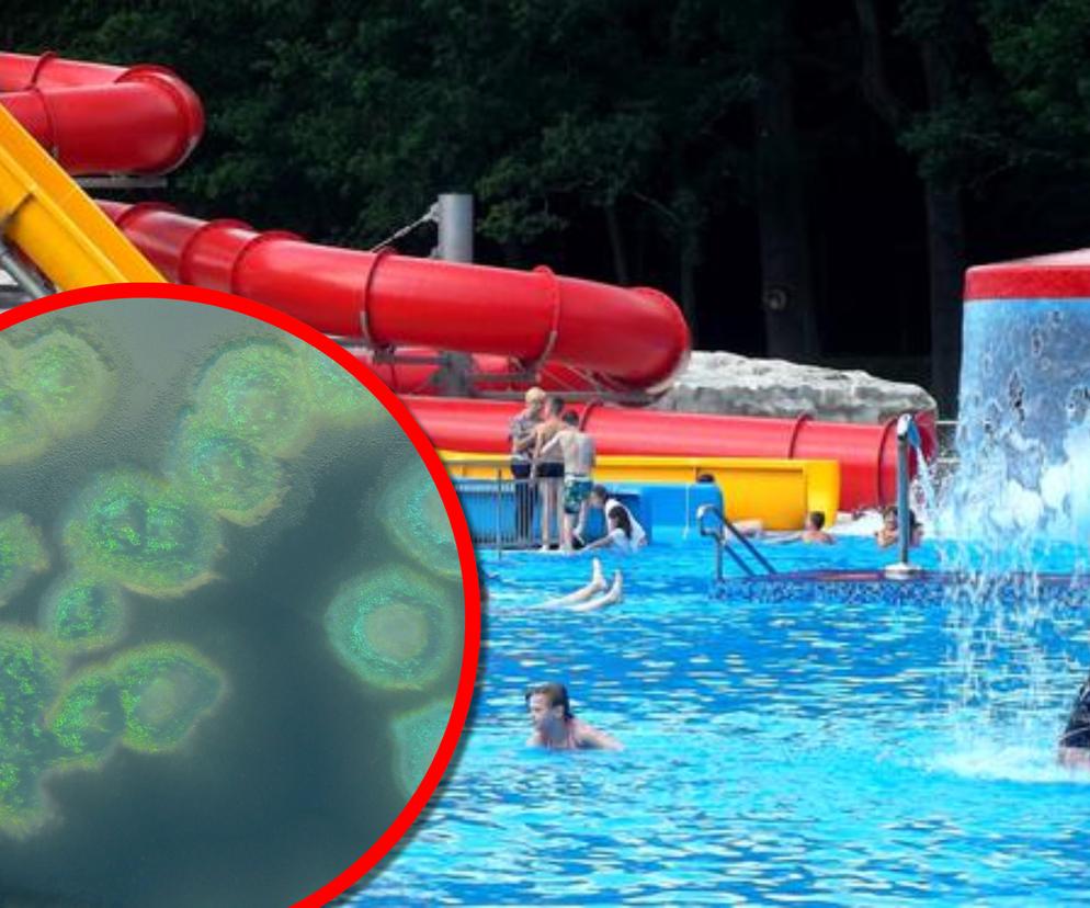 Groźna bakteria na szczecińskiej Arkonce. Kąpielisko nieczynne do odwołania