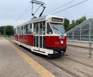 Literacki tramwaj wyjedzie na ulice Warszawy
