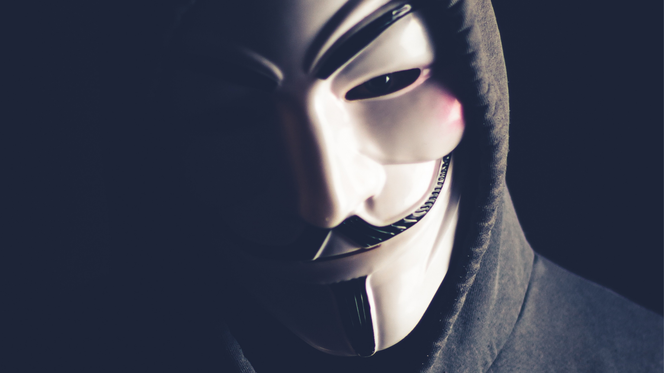 Anonymous stworzył własną stronę z wykradzionymi danymi!