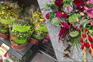 Chryzantemy wciąż drogie? Dlaczego ceny rosną i jak udekorować grób bez przepłacania