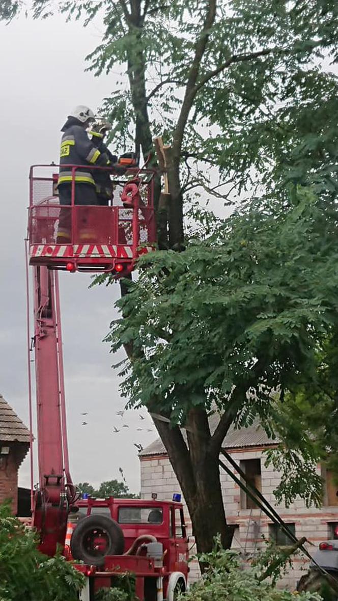 Straszna wichura przeszła przez Dolny Śląsk. Wciąż wieje!