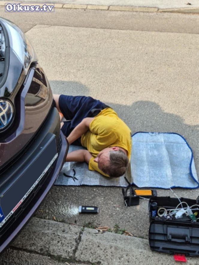  Olkusz. Zaginiona kotka Blue odnaleziona w Chorwacji. Przejechała w zderzaku ponad 1 000 kilometrów 