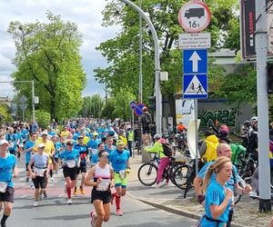 Wings for Life World Run