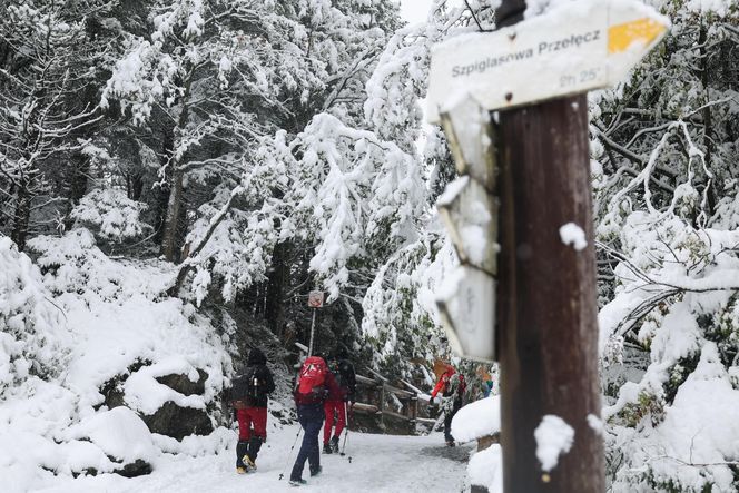 Śnieg w Tatrach. TOPR ogłosił pierwszy stopień zagrożenia lawinowego