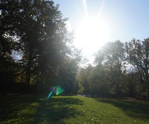 Park Wilsona jesienią