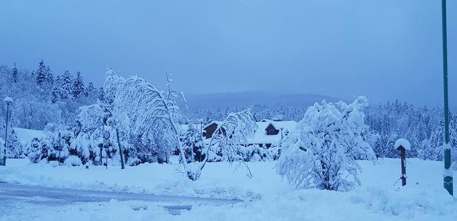 Bajkowa zima w Bieszczadach zapiera dech w piersiach [ZDJĘCIA]