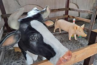 Mućka - warsztaty w Muzeum Etnograficznym w Tarnowie