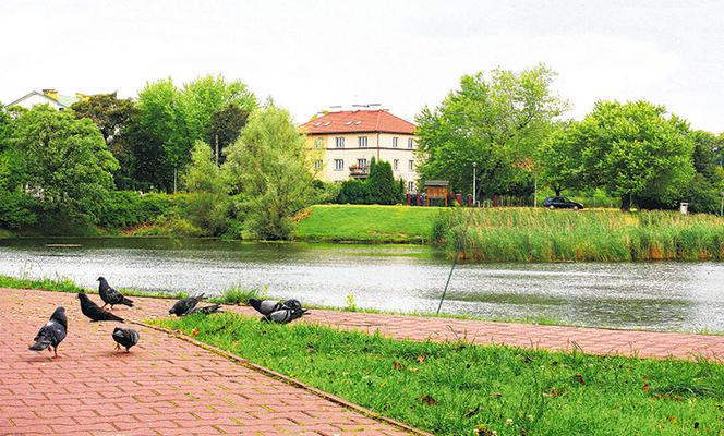 Jak zakochać się w Warszawie  we Włochach 