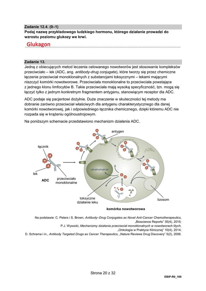 Matura 2025: biologia 9.05.2025. Arkusze CKE i odpowiedzi [Formuła 2015]