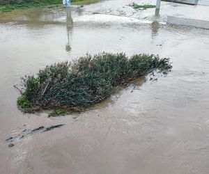 Fala powodziowa we Wrocławiu. Pod wodą są już beach bary i drogi 