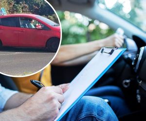 Nauka jazdy w Bydgoszczy. Ci instruktorzy mają najwyższą zdawalność! Zostali wyróżnieni przez sam WORD [RANKING]