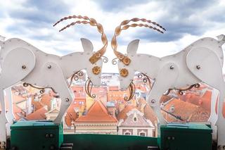 Koziołki opuściły Poznań! Gdzie udały się symbole miasta? 