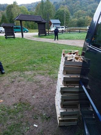 Najazd rumuńskich grzybiarzy na Podkarpaciu