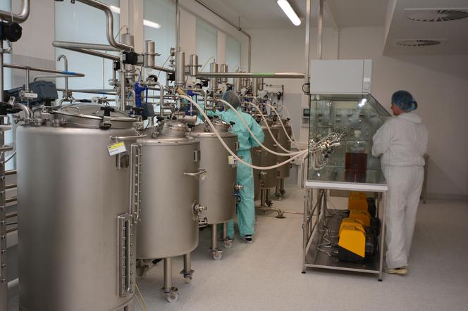 Firma Biomed Lublin wyprodukuje lek na COVID-19