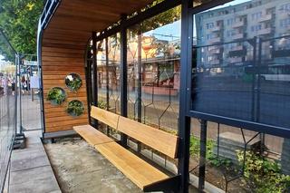 Zielone przystanki na al. Wyzwolenie