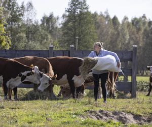 Serial Rolnicy. Podlasie. To już 250 odcinków!